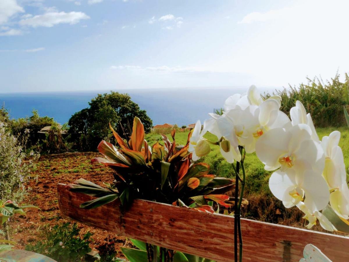 Casas Serenas Estreito Da Calheta Esterno foto
