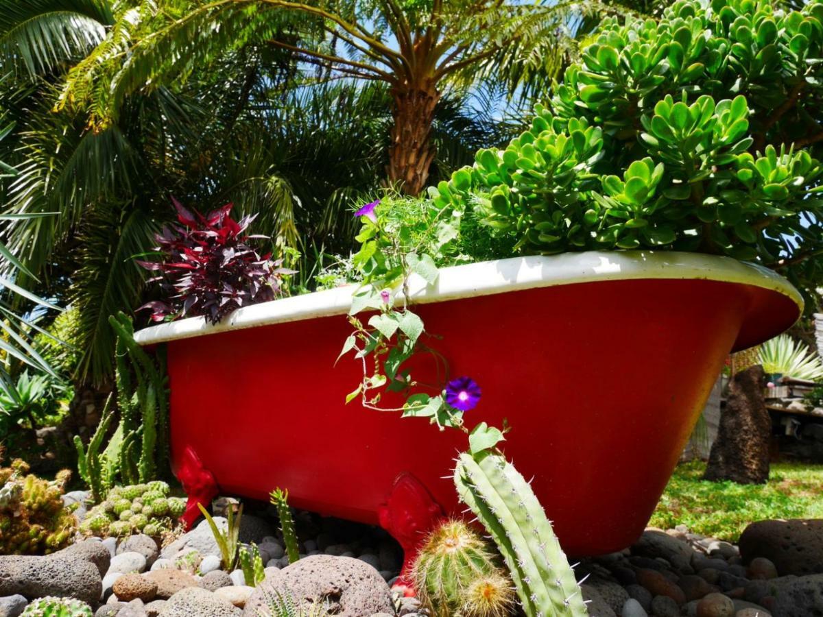 Casas Serenas Estreito Da Calheta Esterno foto