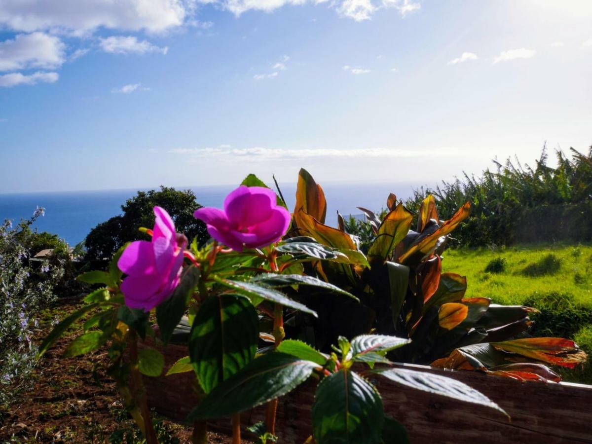Casas Serenas Estreito Da Calheta Esterno foto